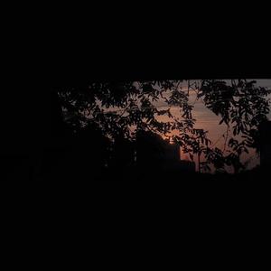 free性zoz0交体内谢中国
